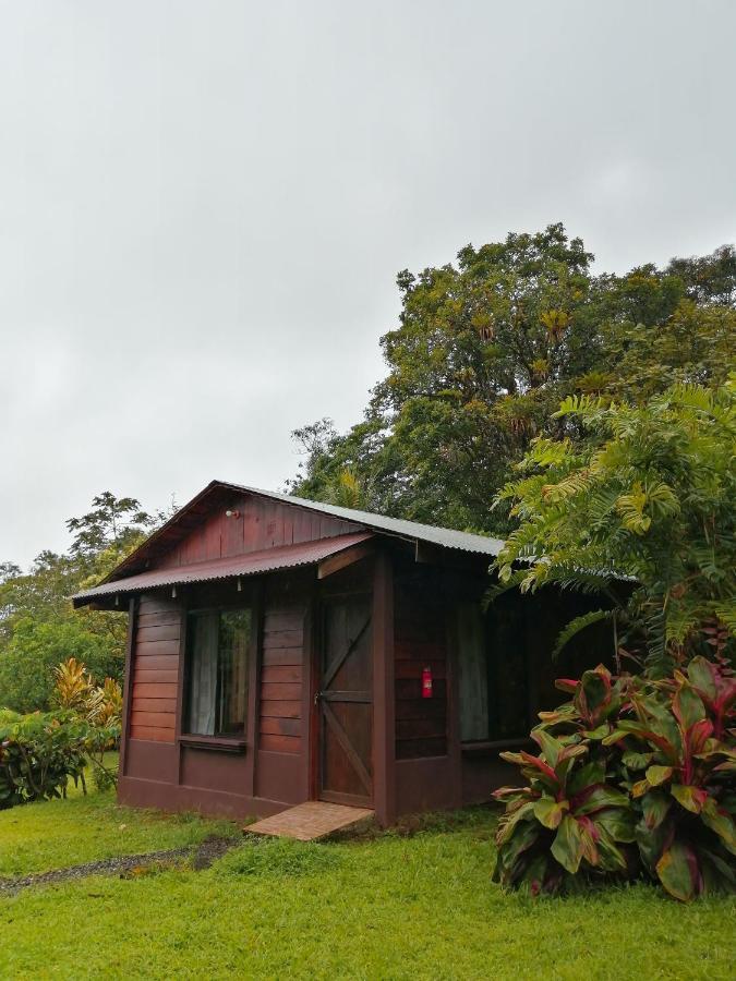 Cataratas Bijagua Lodge, Incluye Tour Autoguiado Bijagua Waterfalls Hike 외부 사진