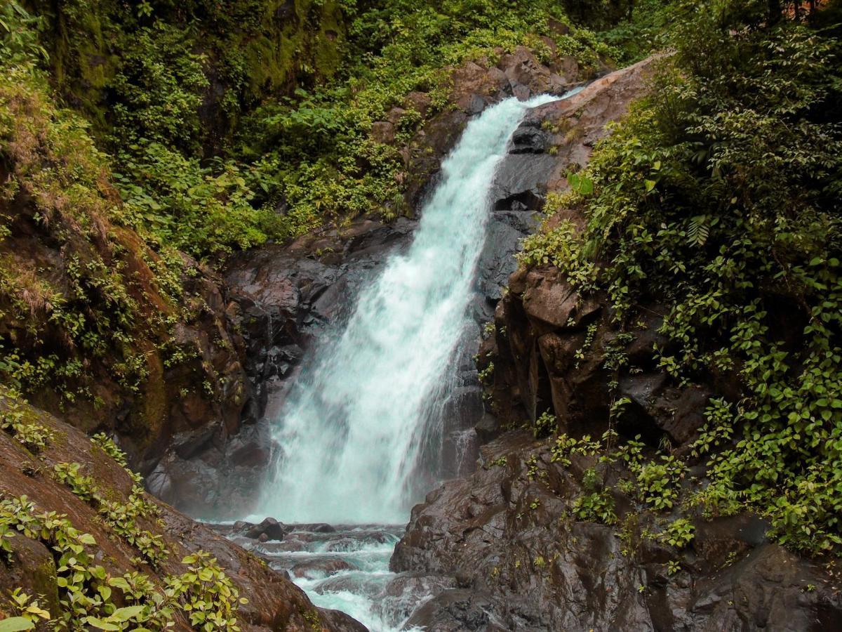 Cataratas Bijagua Lodge, Incluye Tour Autoguiado Bijagua Waterfalls Hike 외부 사진