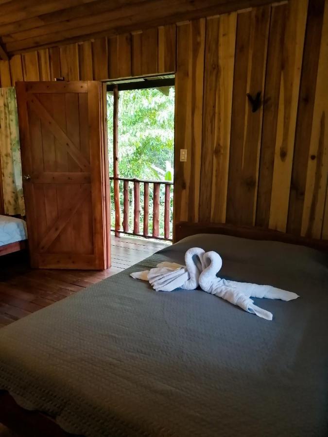 Cataratas Bijagua Lodge, Incluye Tour Autoguiado Bijagua Waterfalls Hike 외부 사진