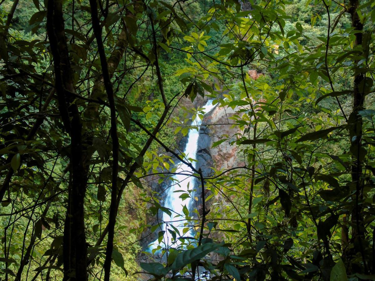 Cataratas Bijagua Lodge, Incluye Tour Autoguiado Bijagua Waterfalls Hike 외부 사진