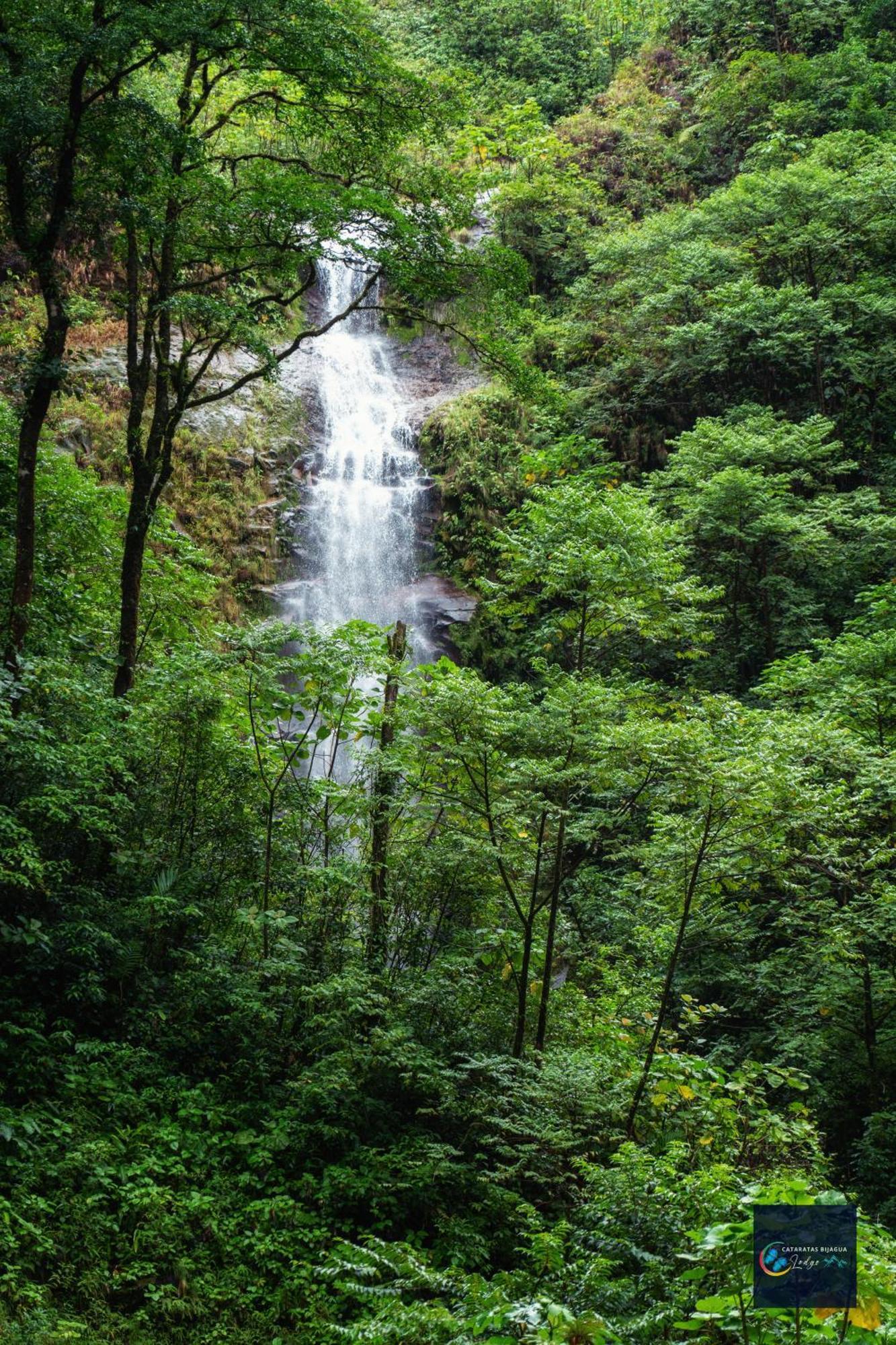 Cataratas Bijagua Lodge, Incluye Tour Autoguiado Bijagua Waterfalls Hike 외부 사진